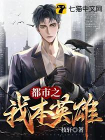 我本英雄在线阅读