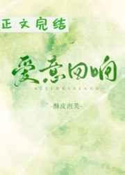 爱意回响电视剧免费观看