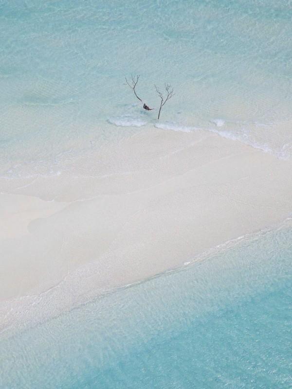 绞杀1943演员表全部演员介绍