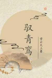 驭青鸾 雪云天上